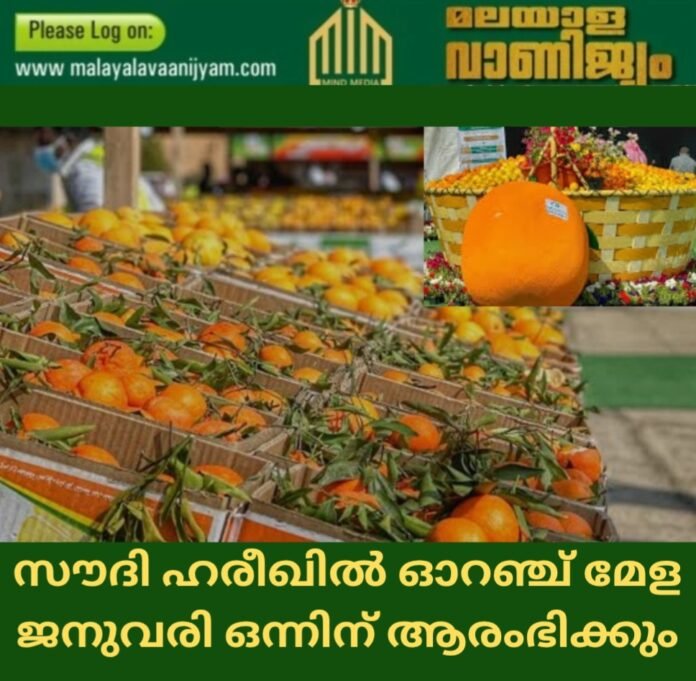 Screenshot_20241230_085919_Canva