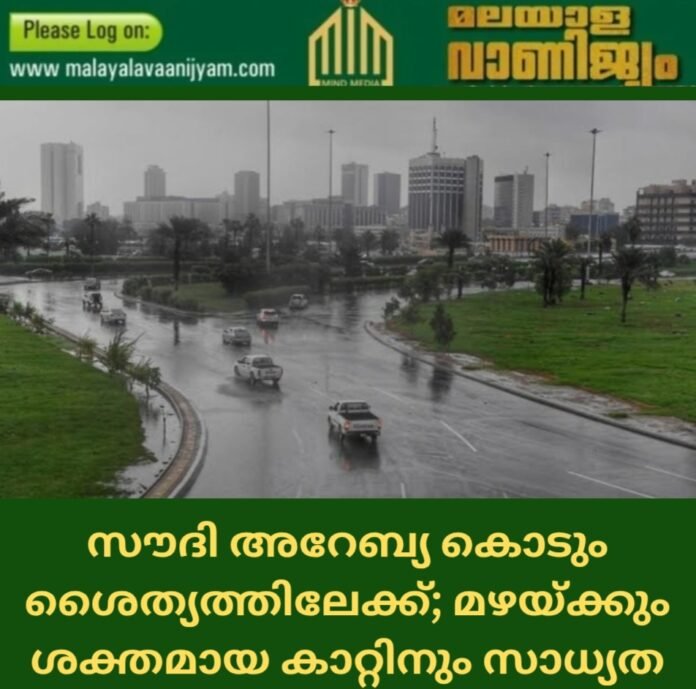 Screenshot_20250105_115723_Canva