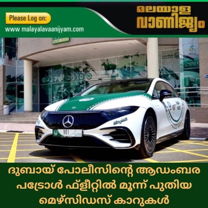 Screenshot_20250930_105025_Canva