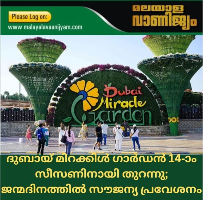 Screenshot_20251025_165918_Canva